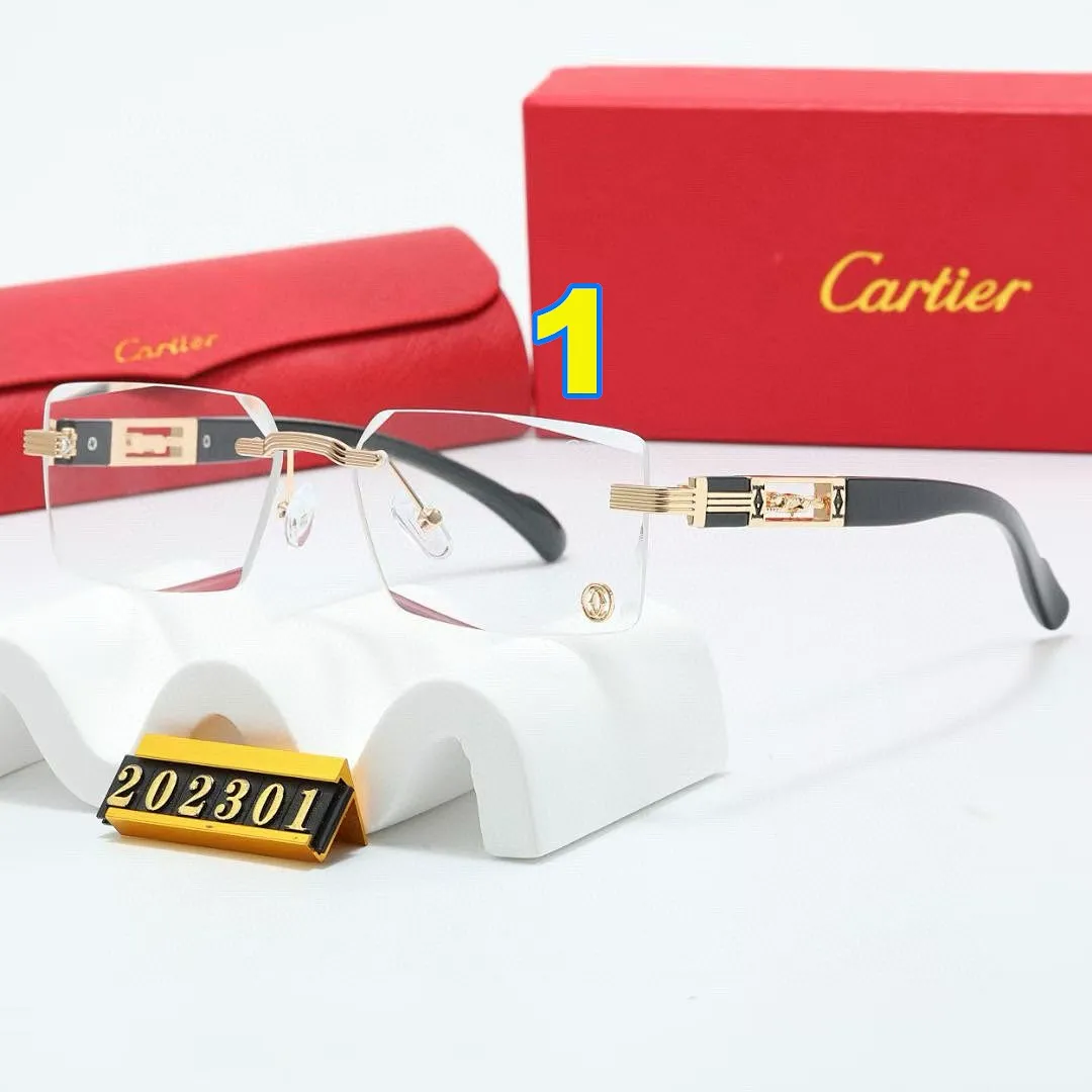 Cartier 4646 תמונה 4