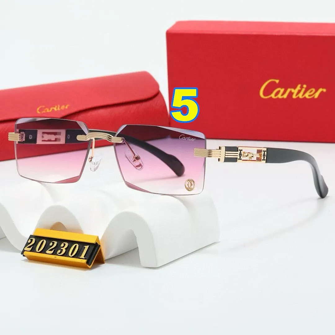 Cartier 4646 תמונה 8