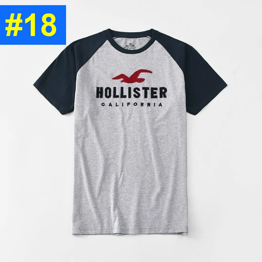 HOLLISTER-22 4795 תמונה 19