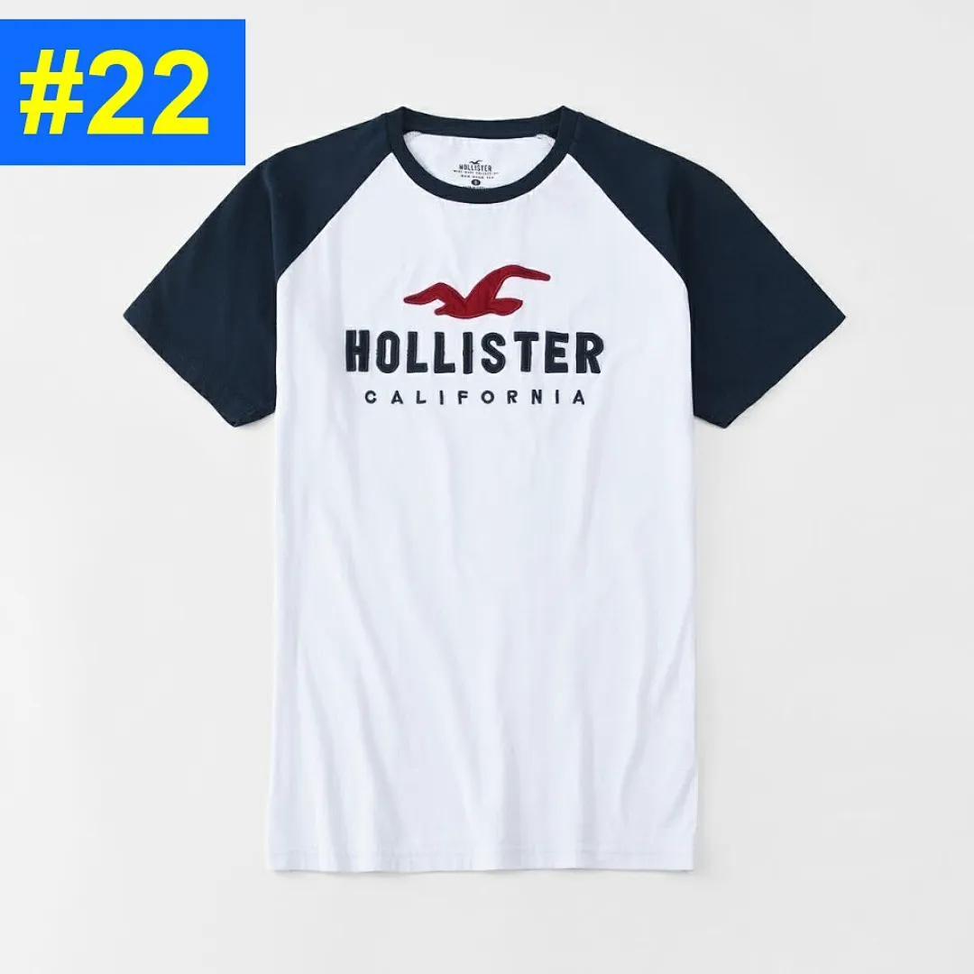HOLLISTER-22 4795 תמונה 24