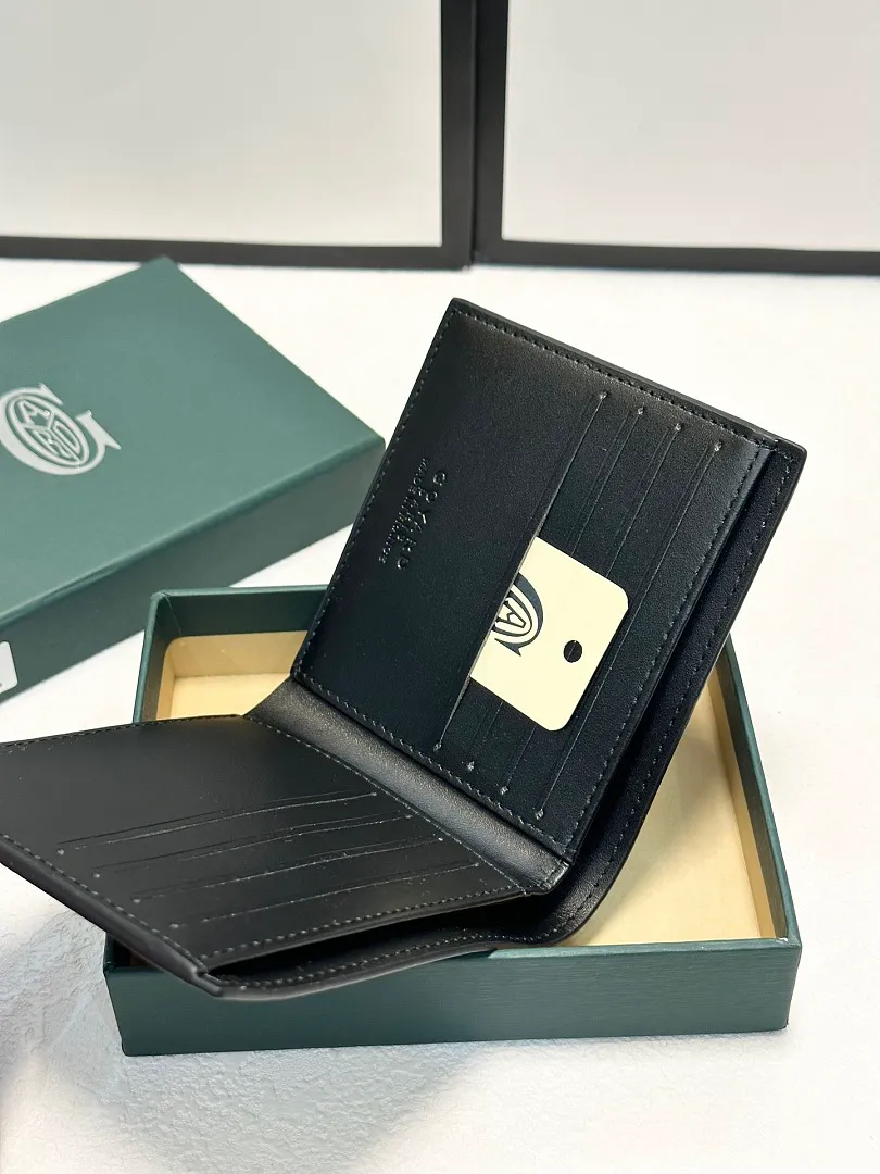 GOYARD 4908 תמונה 13
