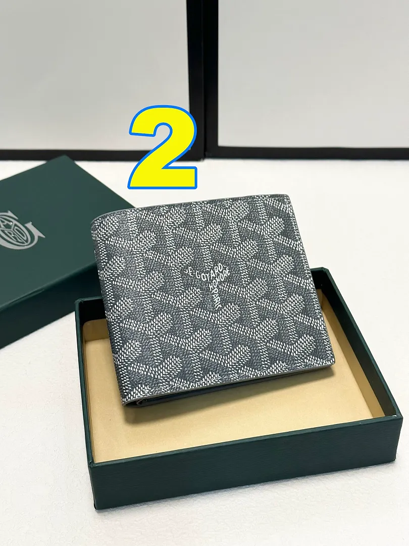 GOYARD 4908 תמונה 3