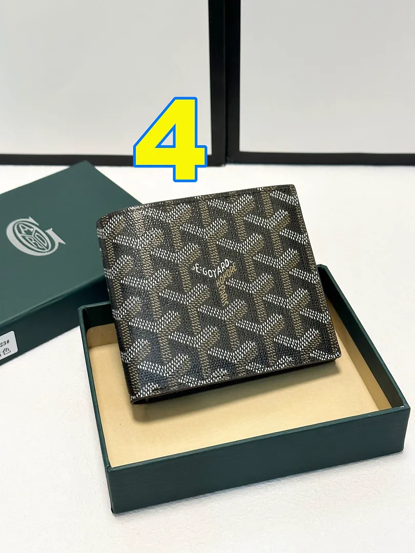 GOYARD 4908 תמונה 5
