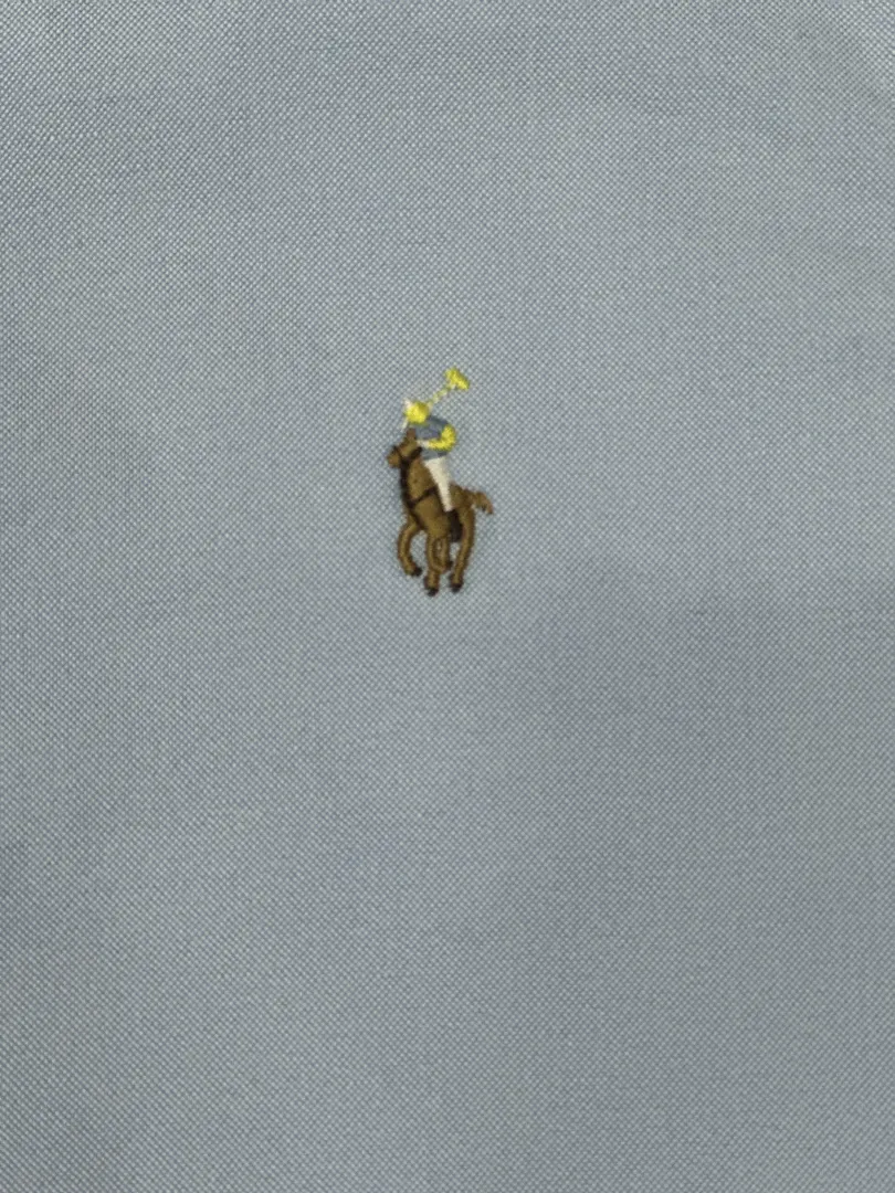 Ralph Lauren 4955 תמונה 21