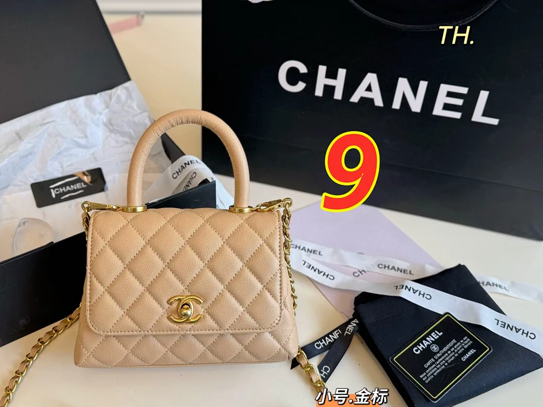 Chanel 5509 תמונה 13