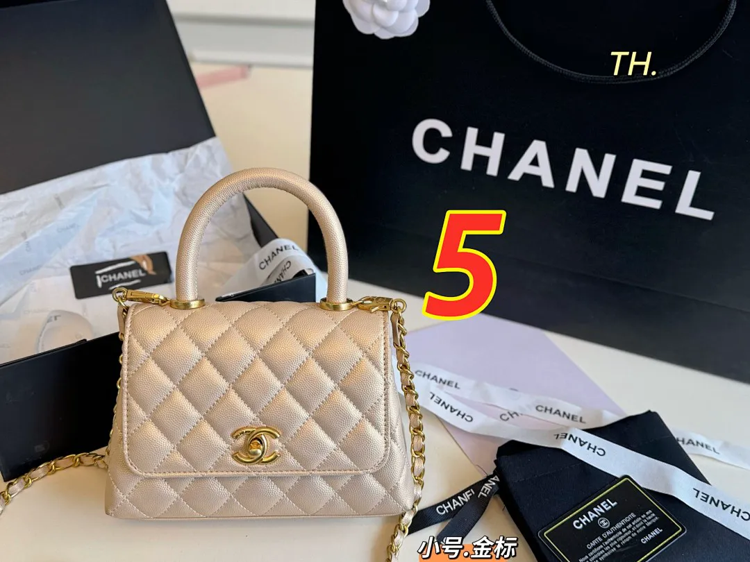 Chanel 5509 תמונה 17