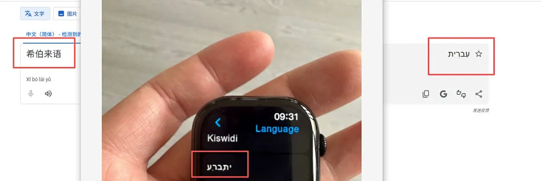Apple 5814 תמונה 2