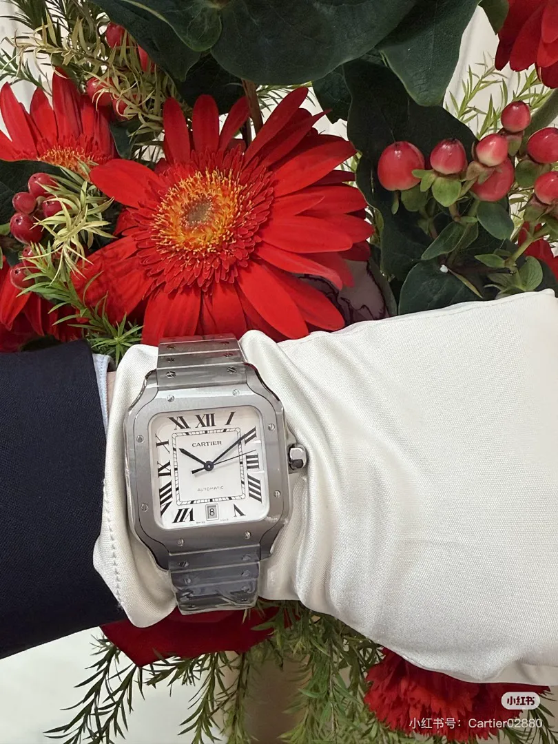 Cartier 5885 תמונה 19