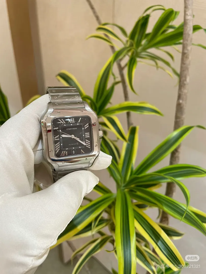 Cartier 5885 תמונה 8