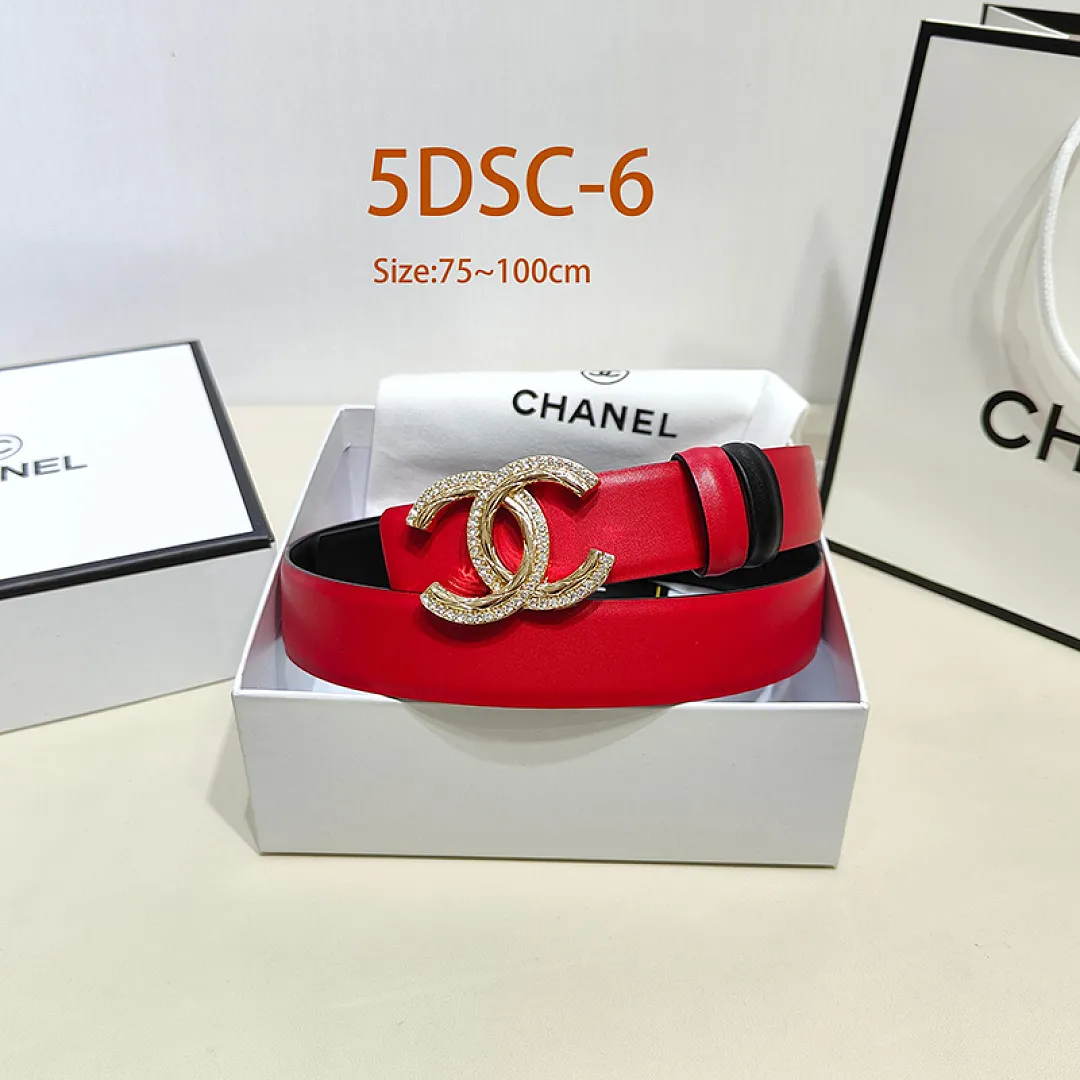 Chanel 5DSC תמונה 17