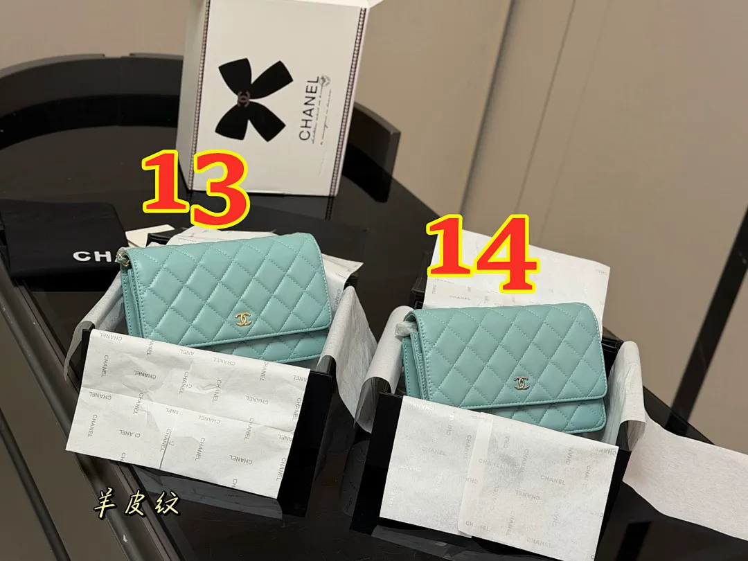 Chanel 6019 תמונה 11
