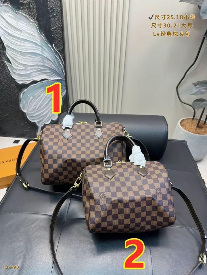 LV 6079