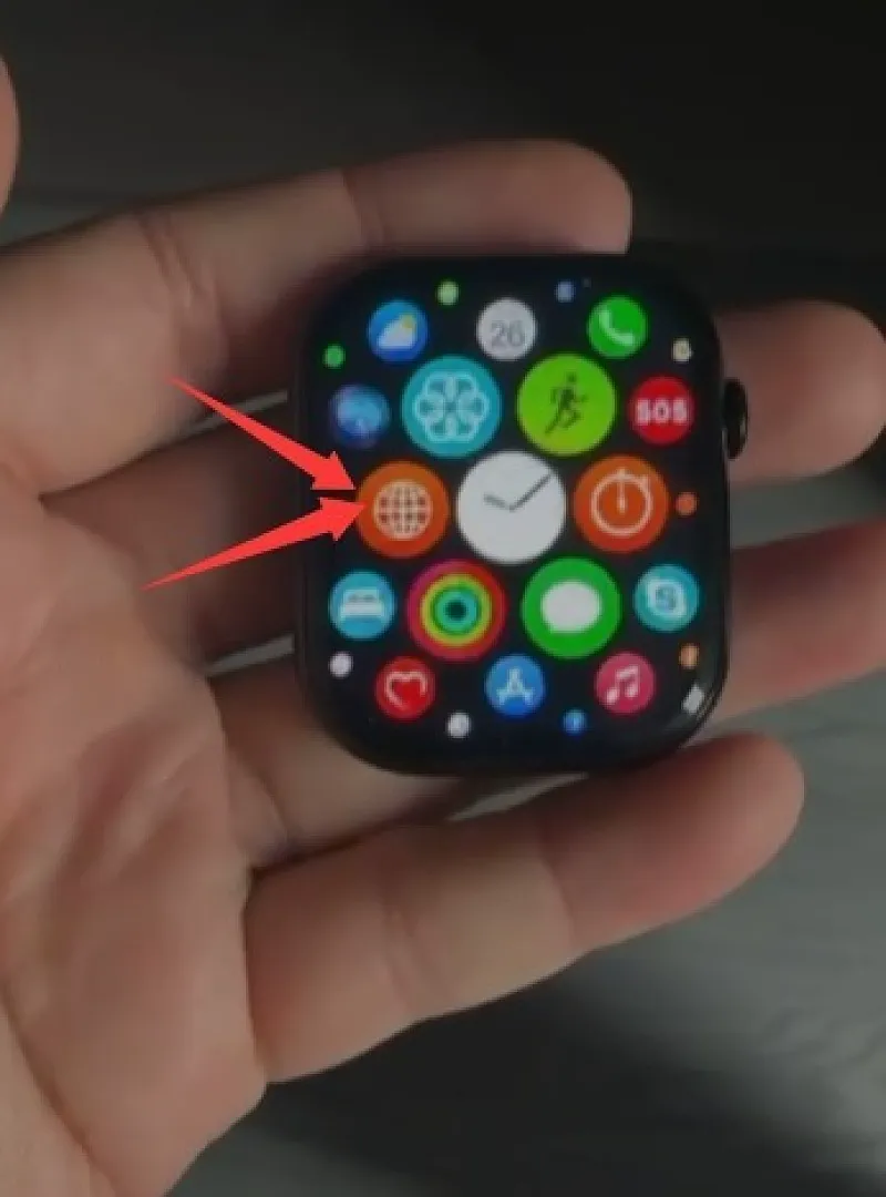 Apple 6349 תמונה 3