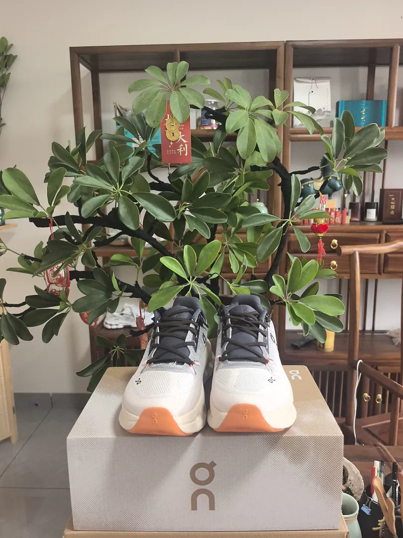On Cloud 6547 תמונה 10
