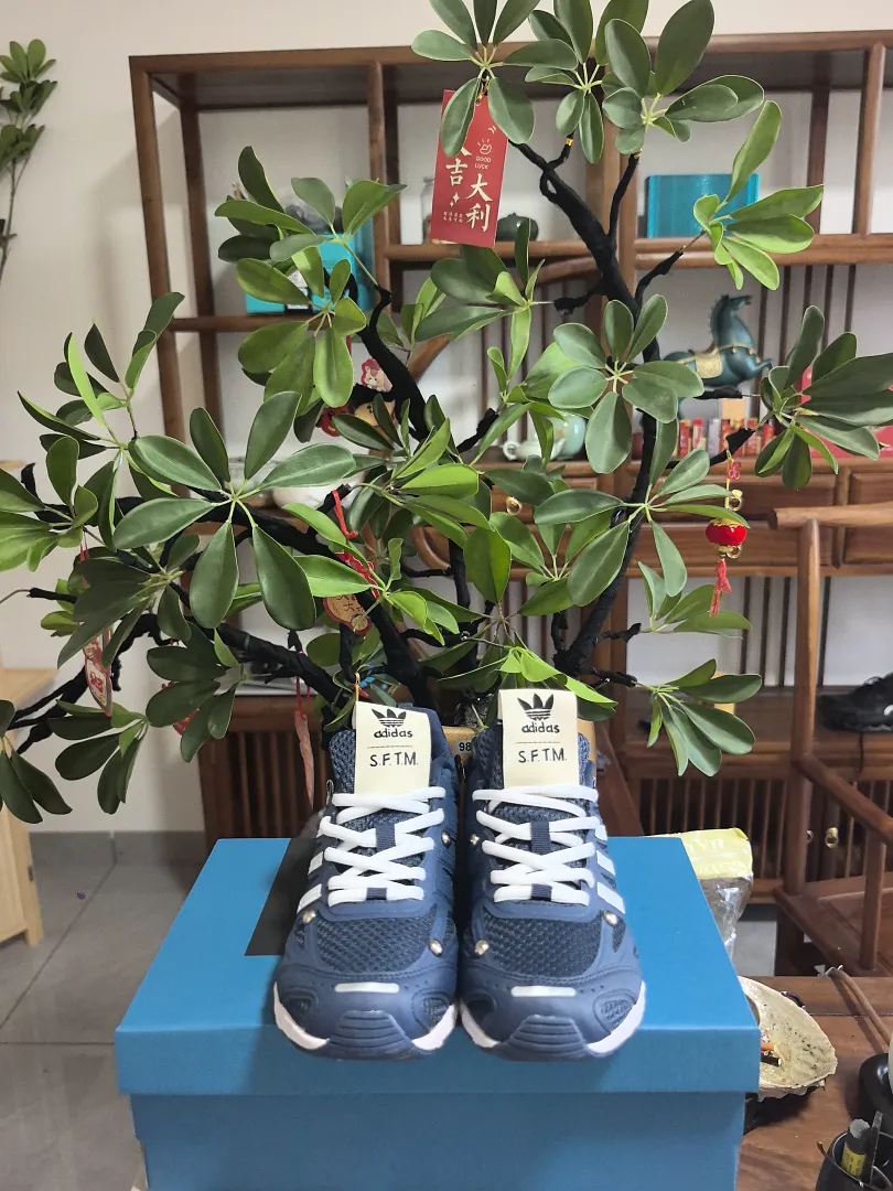 Adidas 6550 תמונה 12