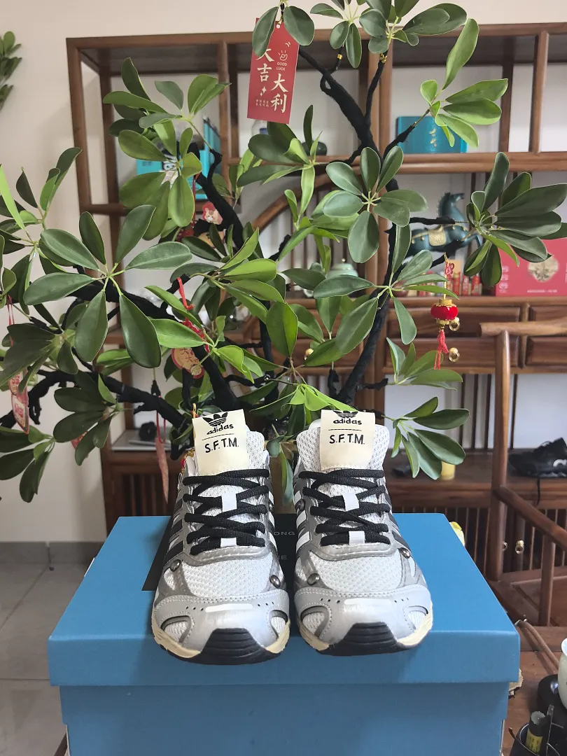 Adidas 6550 תמונה 14
