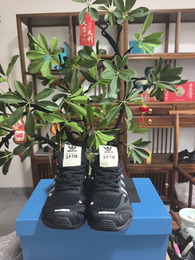 Adidas 6550 תמונה 16