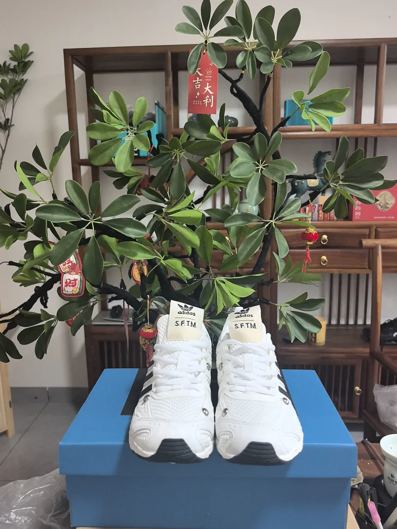 Adidas 6550 תמונה 17