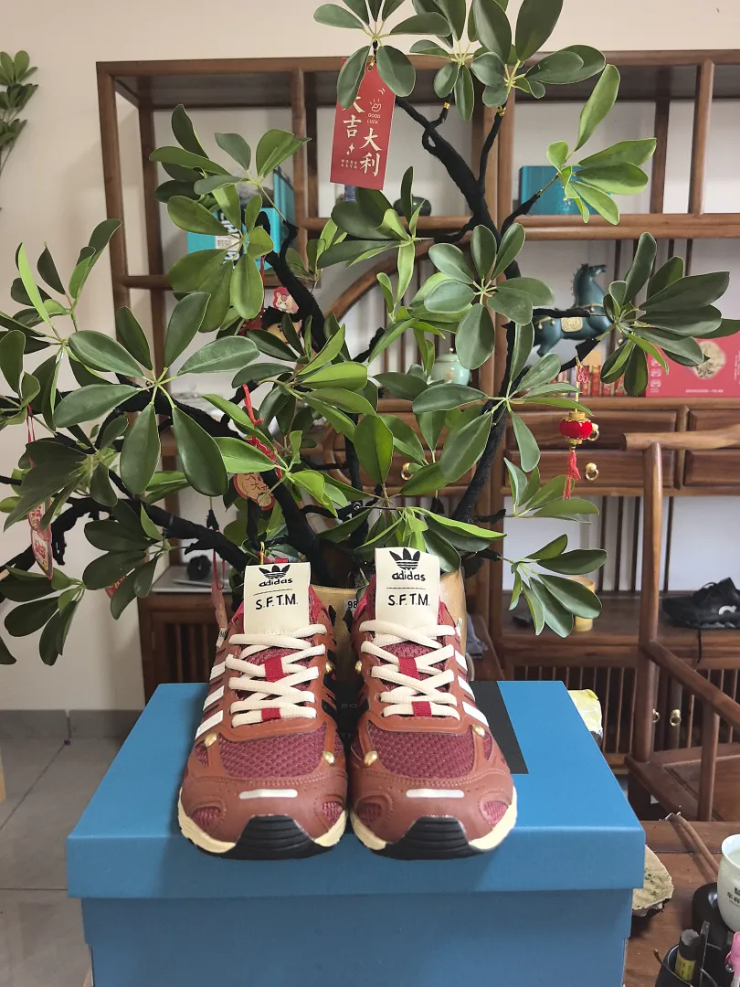 Adidas 6550 תמונה 21