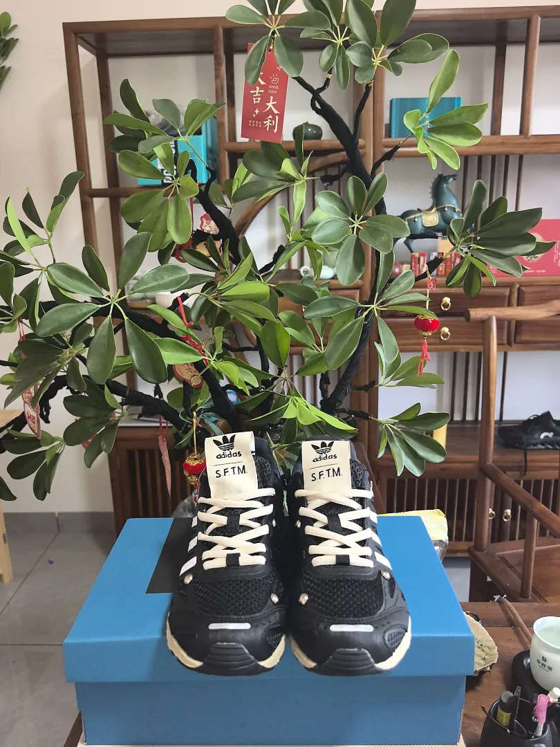 Adidas 6550 תמונה 23