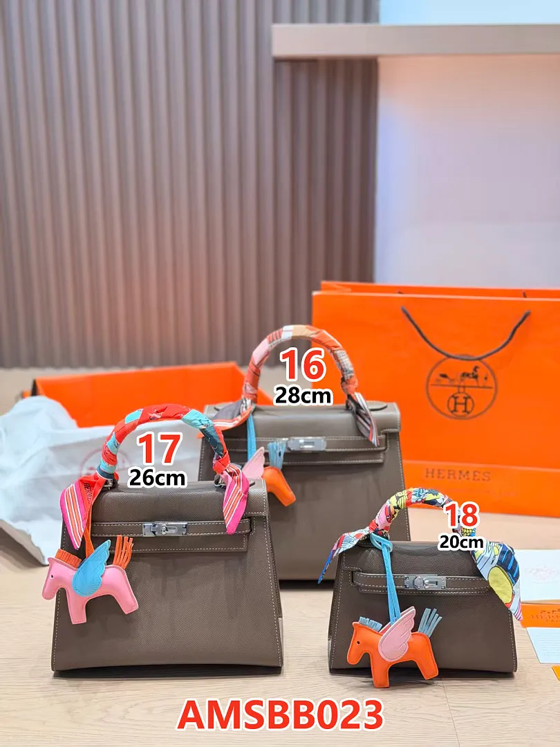 Hermes AMSBB023 תמונה 15