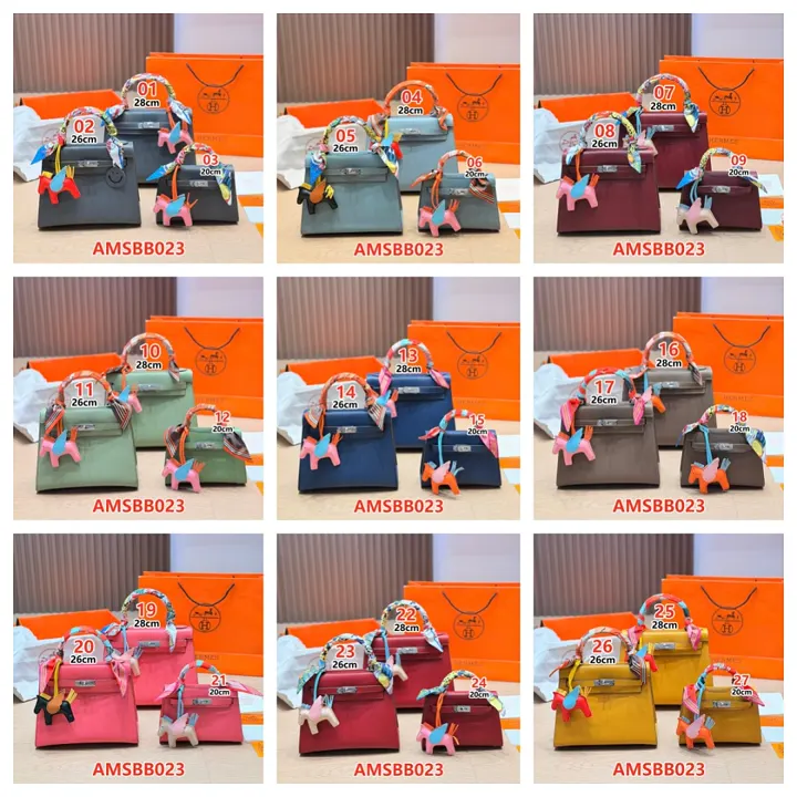 Hermes AMSBB023