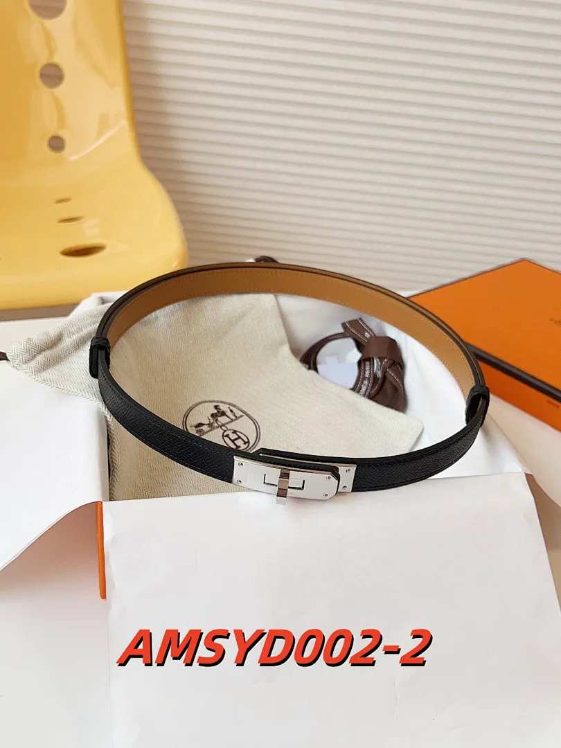 Hermes AMSYD002 תמונה 3