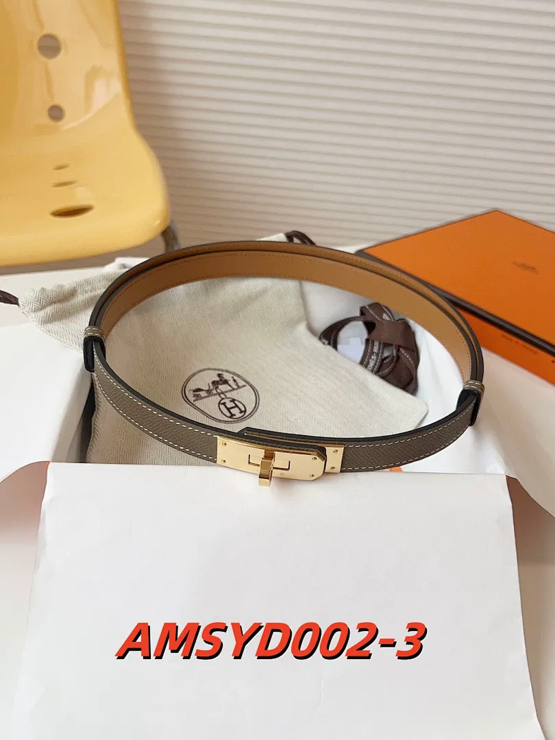 Hermes AMSYD002 תמונה 4