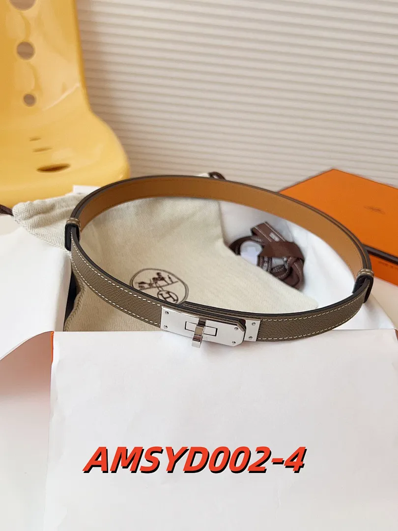 Hermes AMSYD002 תמונה 5
