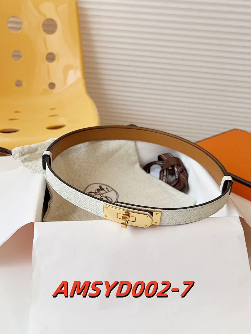 Hermes AMSYD002 תמונה 8