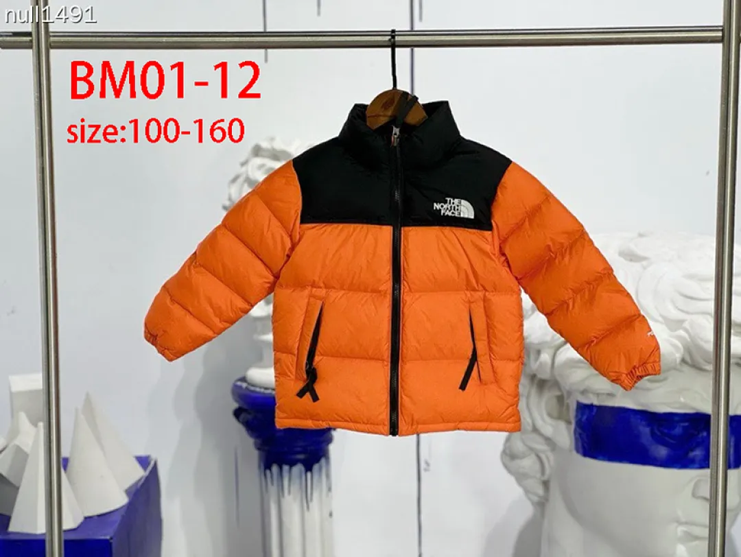 The North Face BM01 תמונה 12