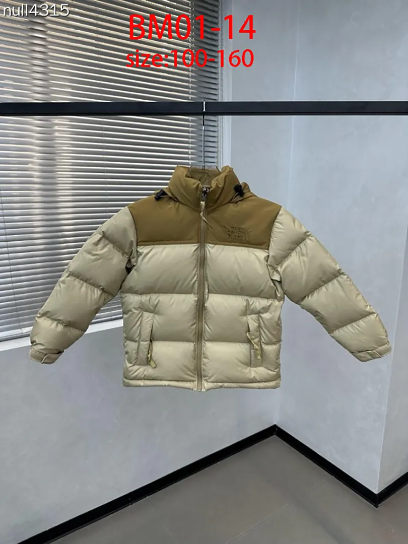 The North Face BM01 תמונה 2