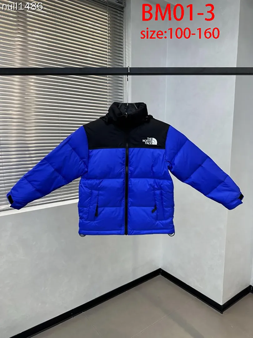 The North Face BM01 תמונה 21