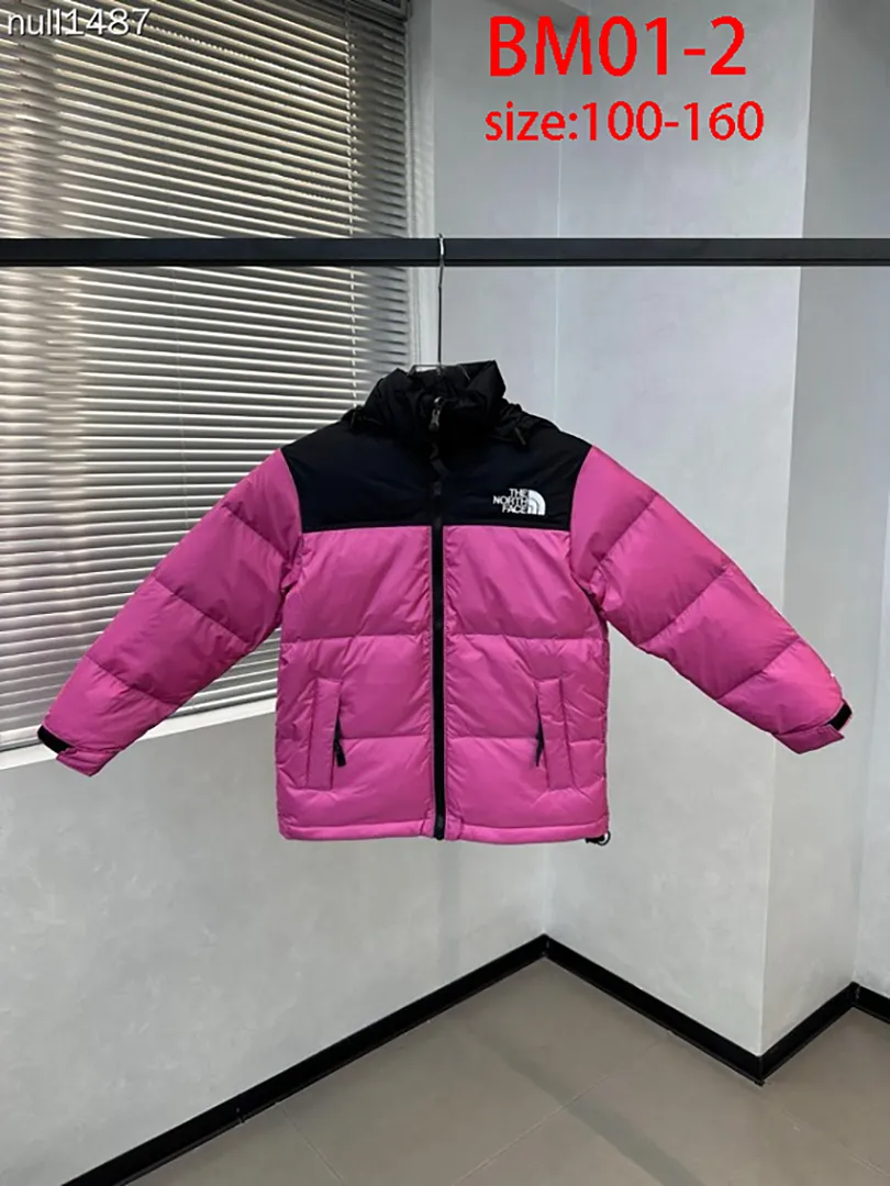 The North Face BM01 תמונה 22