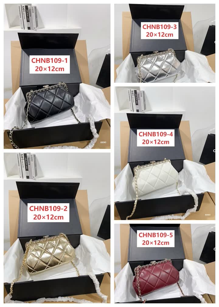 Chanel CHNB109 תמונה 1