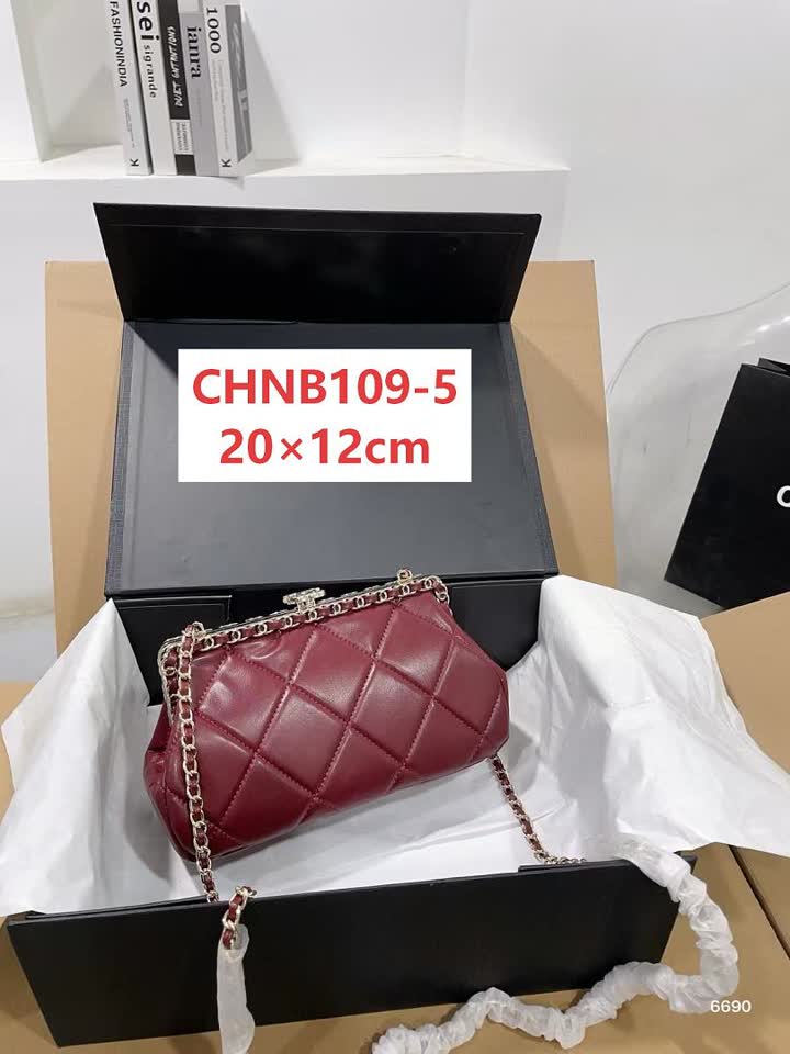 Chanel CHNB109 תמונה 6