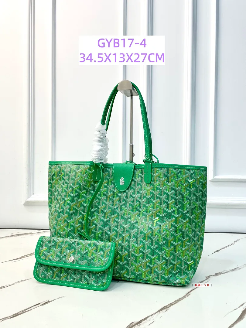Goyard GYB17 תמונה 16
