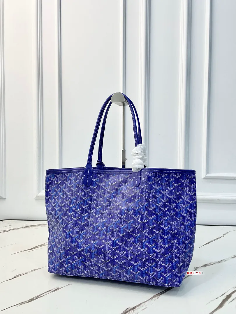 Goyard GYB17 תמונה 3