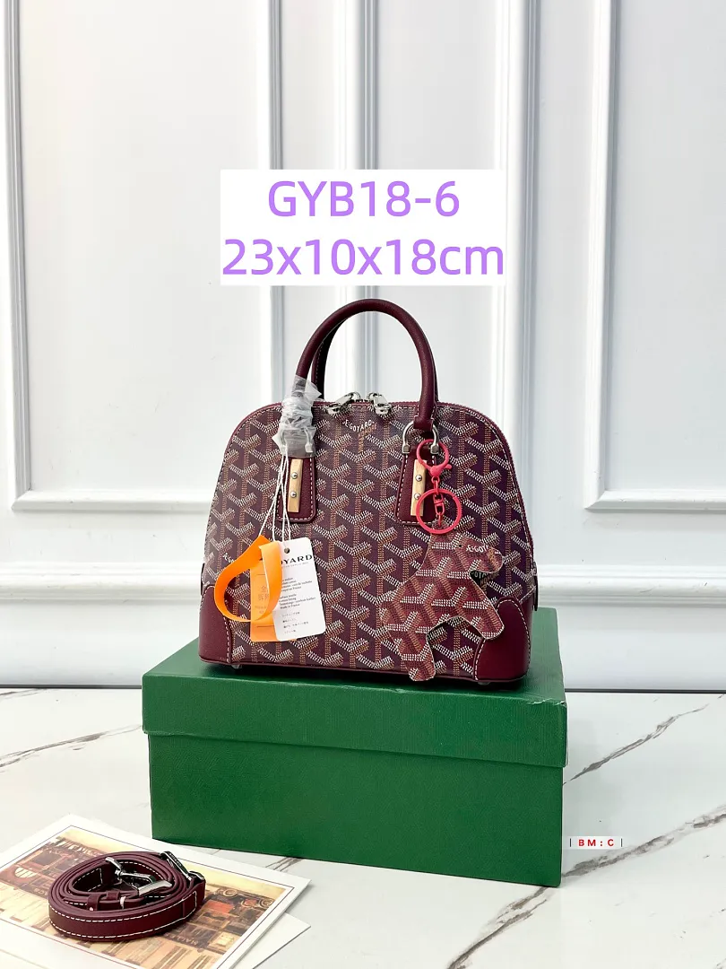 Goyard GYB18 תמונה 15