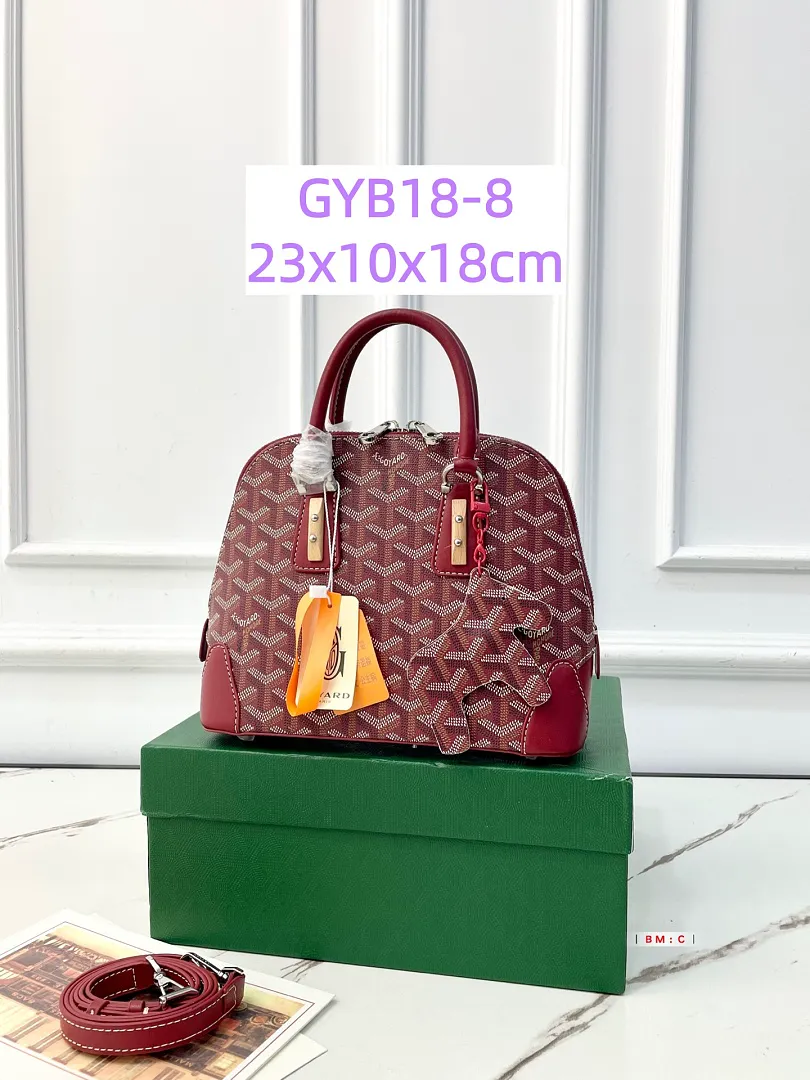 Goyard GYB18 תמונה 17