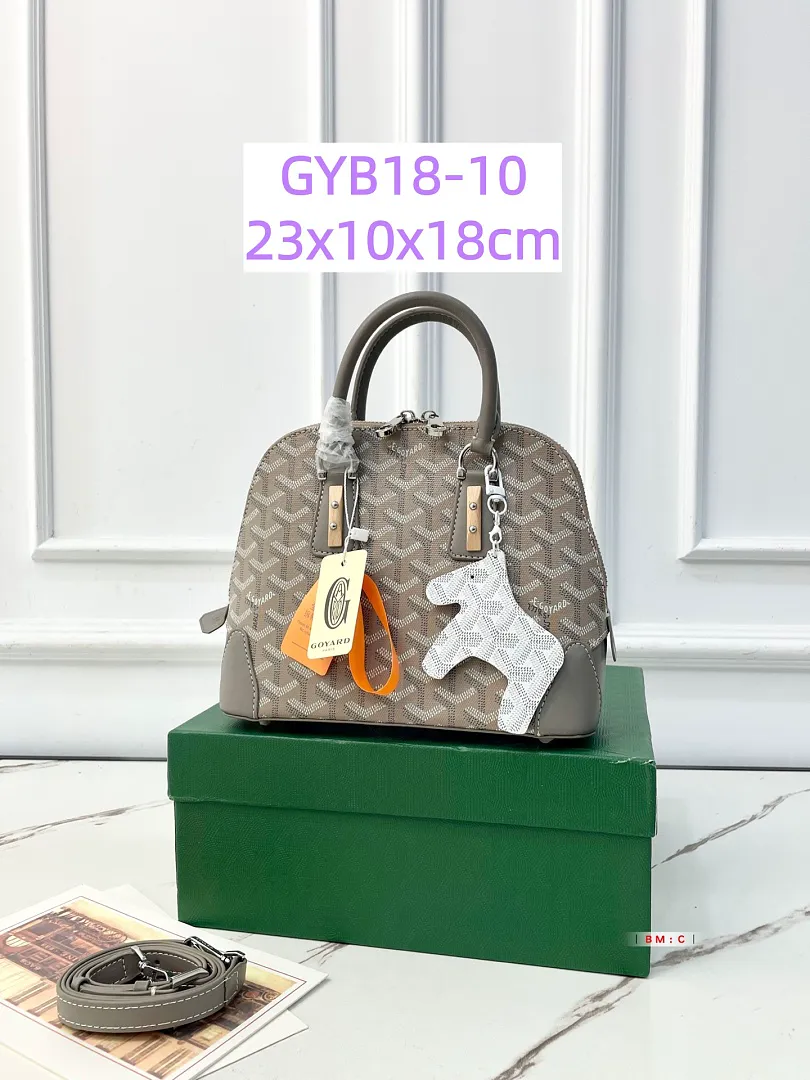 Goyard GYB18 תמונה 19