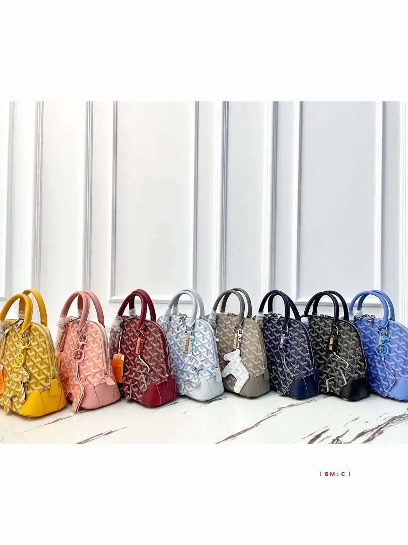 Goyard GYB18 תמונה 2