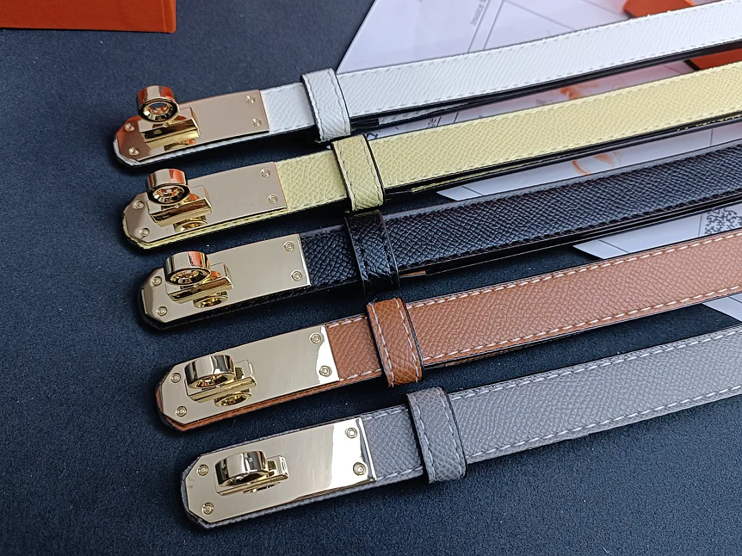 Hermes H1P תמונה 12