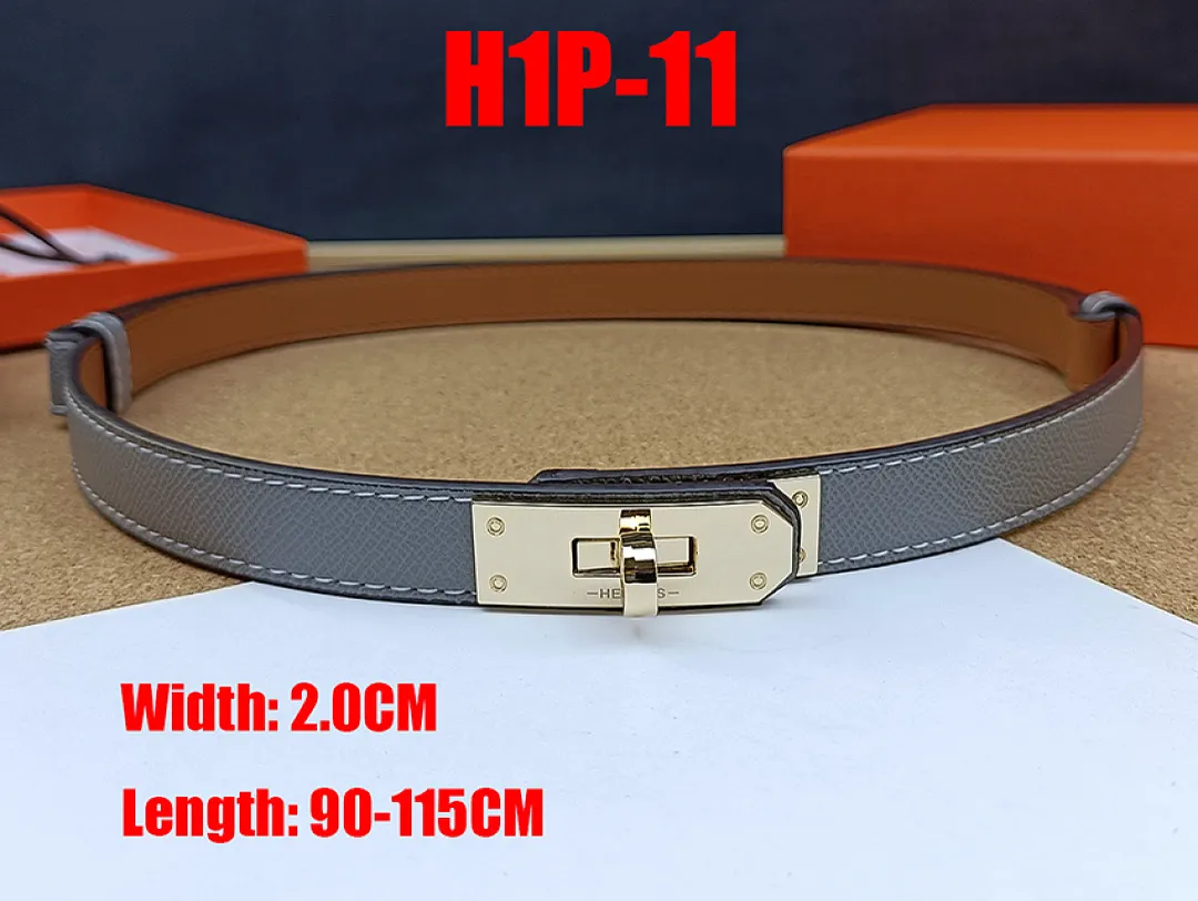 Hermes H1P תמונה 13