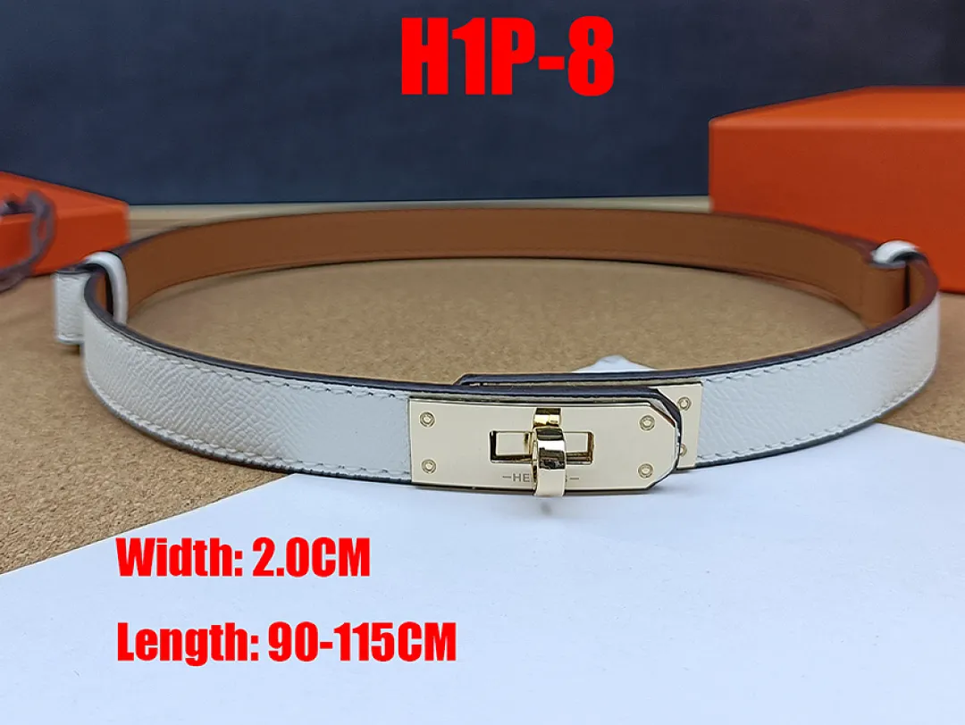 Hermes H1P תמונה 16