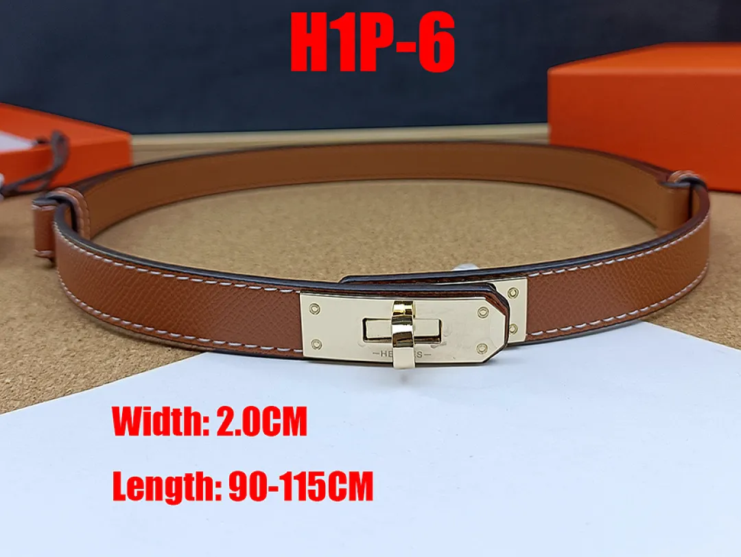 Hermes H1P תמונה 18