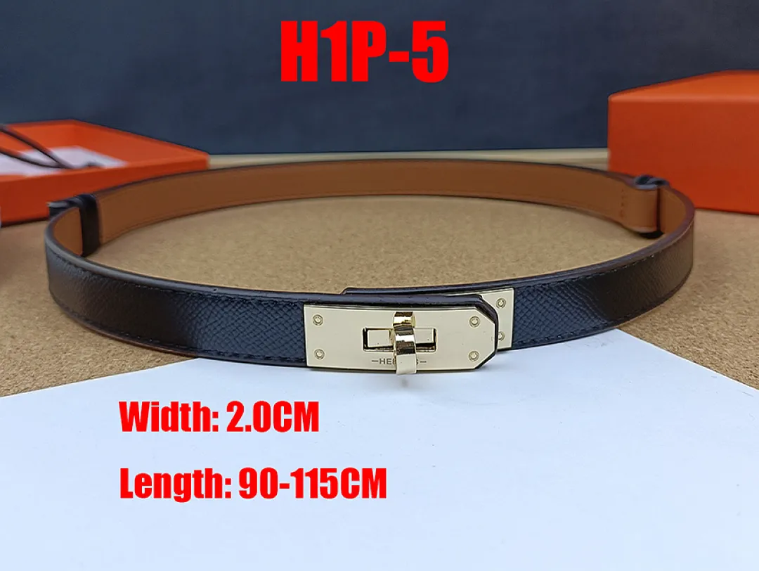 Hermes H1P תמונה 19