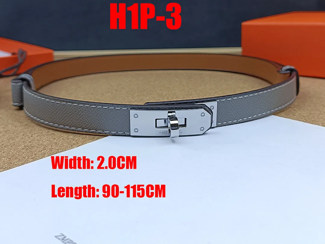 Hermes H1P תמונה 21