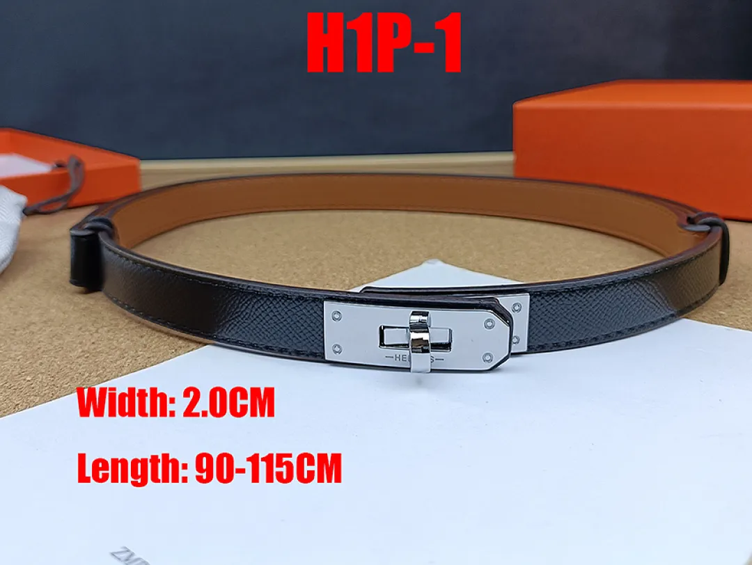Hermes H1P תמונה 23