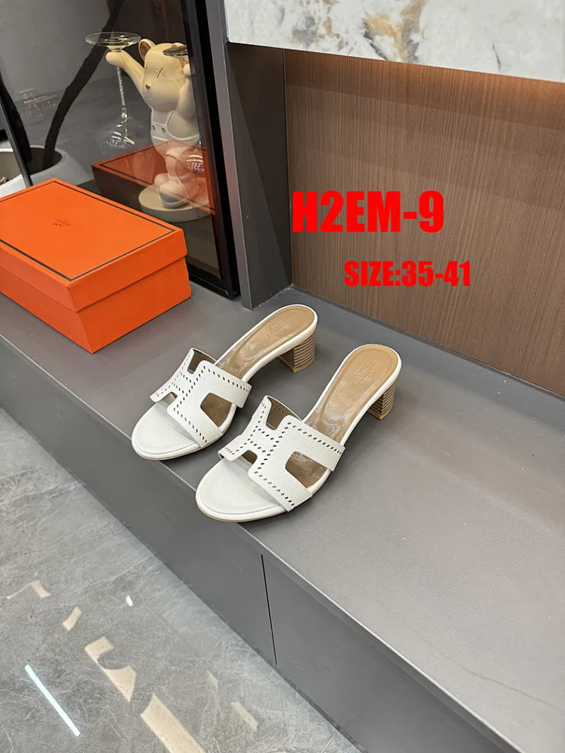Hermes H2EM תמונה 21